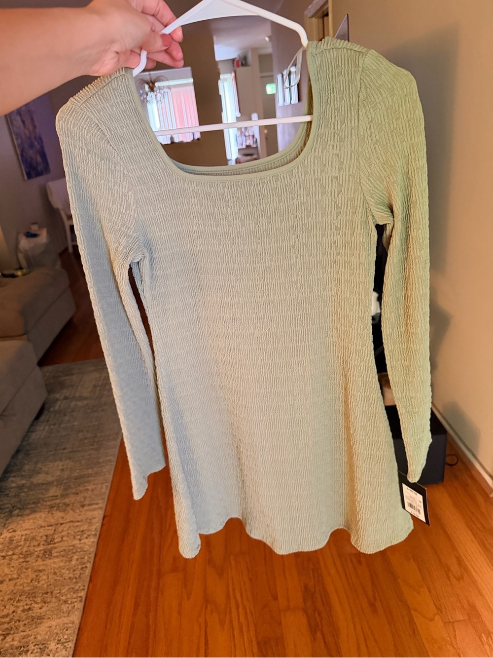 Long Sleeve Scoop Neck Dress - Sage Green (NWT)
